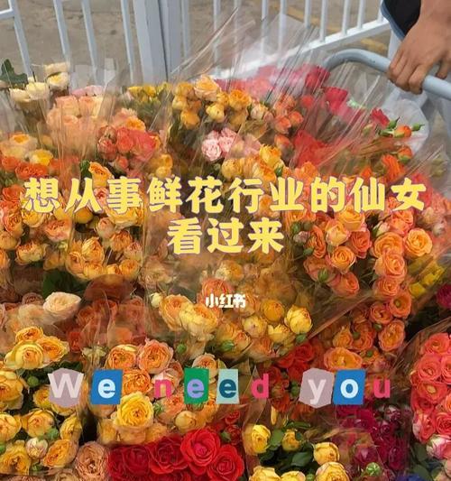 挽回爱情的办法——以我真的很喜欢他帮帮我吧为例（15个实用方法）