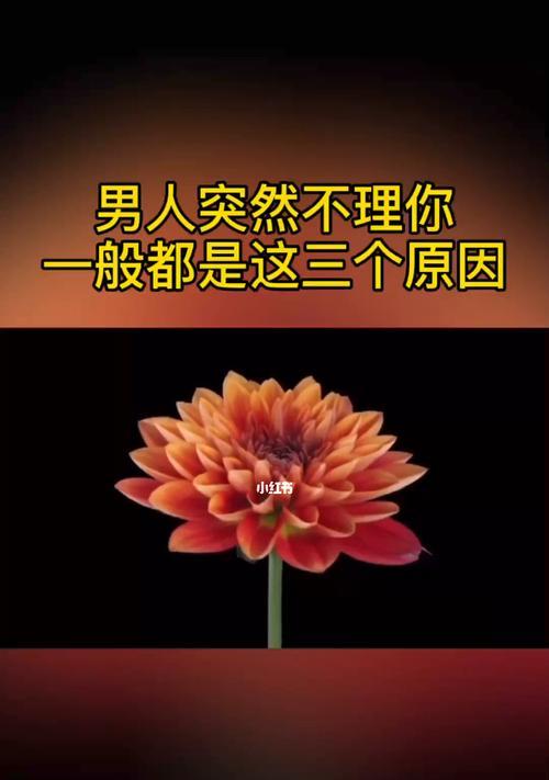 分手后悔想复合（当悔恨变成挽回）