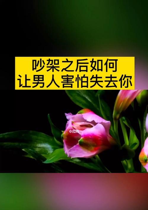 如何挽回因吵架说了很重的话而分手的关系（15个步骤教你如何用“挽回”修复受伤的感情）