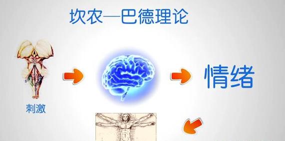 心理学家指导（掌握心理学技巧）